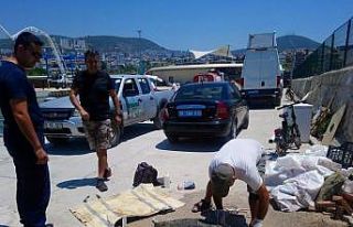 Kuşadası’nda deniz kaplumbağası ölü olarak...