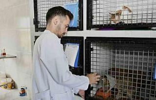 Kuşadası’nda sahipsiz can dostların ihtiyaçları...