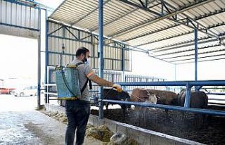 Kuşadasi’nda sivrisinek ve haşerelere karşı...