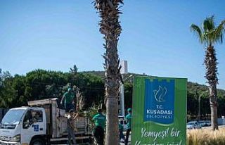 Kuşadası’nda yeşil seferberlik sürüyor
