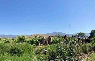 Kuşu vurmak isterken komşusunu vurdu