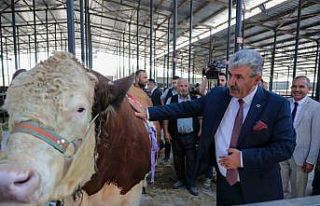 Kütahya’da Canlı Hayvan Pazarı açıldı