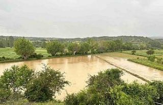 Kuvvetli sağanak tarım arazilerini göle çevirdi,...