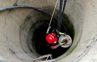 Kuyuya düşen kedinin imdadına itfaiye yetişti