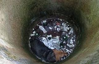 Kuyuya düşen köpek böyle kurtarıldı
