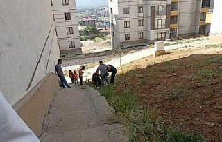 Kuyuya düşen yavru kediyi ekipleri kurtardı