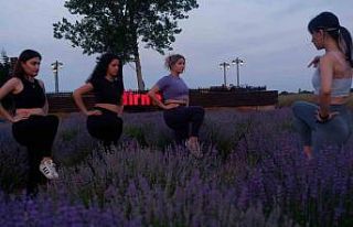 Lavanta tarlasında gün batımı eşliğinde yoga