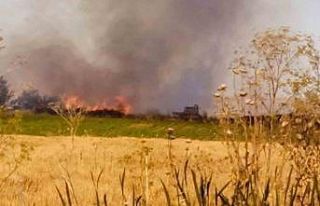 Lüleburgaz’da tarla yangını