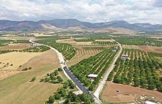 Malatya’da asfalt çalışmaları sürüyor