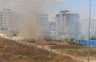 Malatya’da çıkan anız yangını söndürüldü