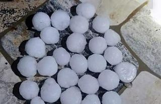 Malatya’da dolu yağışı kayısı bahçelerine...