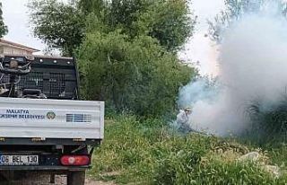 Malatya’da haşere ile mücadele çalışmaları...
