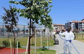 Mamak Belediyesi’nden çevre dostu biyolojik mücadele