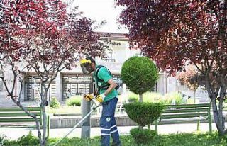 Mamak yaza hazırlanıyor