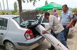 Manisa’da çilek üretimine destek