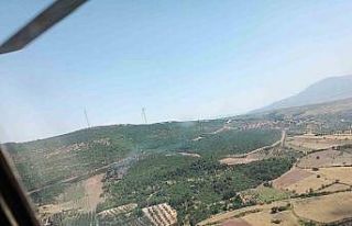 Manisa’da orman yangını