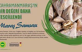 Maraş Samsası coğrafi işaretle tescillendi