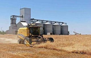 Mardin’de biçerdöverlerin hasat biçme fiyatı...