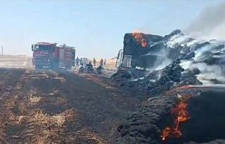 Mardin’de tır ve tonlarca saman balyası cayır...