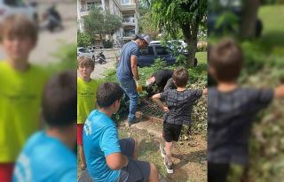 Marmaris’te belediye ekipleri yavru kediyi kurtardı