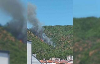 Marmaris’te orman yangını