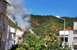 Marmaris’te orman yangını kontrol altına alındı