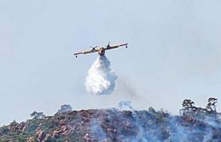 Marmaris’te orman yangınıyla ilgili 1 kişi gözaltına...