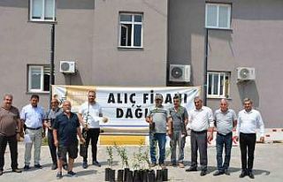 Mersin Büyükşehir Belediyesinin üreticiye desteği...