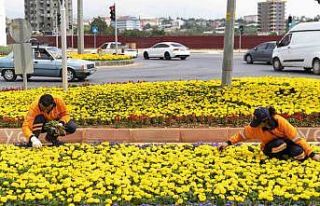 Mersin renkleniyor