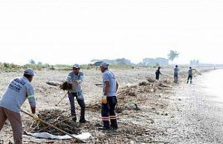 Mersin’de caretta carettaların üreme alanı sahiller...
