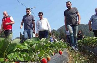 Meslek Liselilerden tarımsal üretime destek