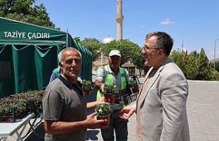 Mezar ziyaretine gelenlere karanfilli karşılama