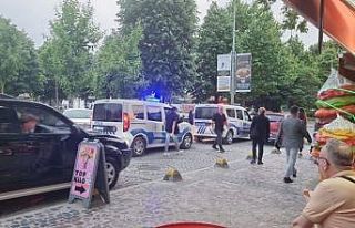 Millet bahçesinde yanan palmiye itfaiyeyi harekete...