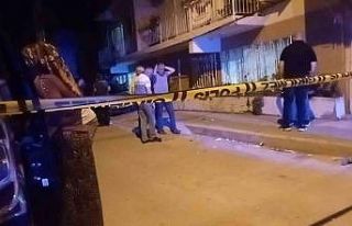 Miras kavgasında öz ağabeyini öldürdü