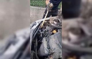 Motora giren yılan güçlükle çıkarıldı
