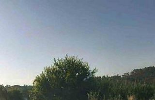 Motosiklet üzerinde yatarak sürüş pahalıya patladı:...