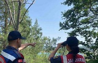 Muğla’da jandarma ekipleri orman yangınlarına...