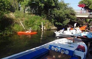 Muhtarın çevre hassasiyeti