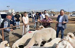 Muratpaşa’da hazırlıklar tamam