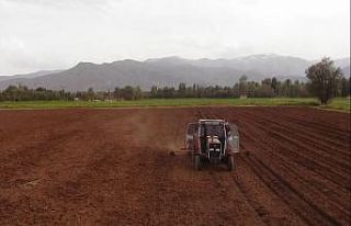 Muş’ta ilk defa silajlık soya ekimi yapıldı