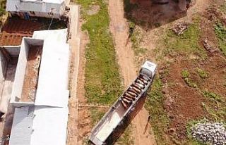 Muş’tan batı illerine kurbanlık sevkiyatı sürüyor