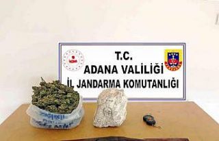 Narenciye bahçesini kenevir tarlasına çevirmişler