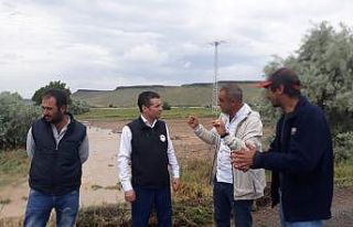 Nevşehir’de tarım arazilerinde hasar tespit çalışmaları...