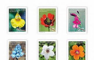 NÖHÜ öğretim üyesinin çektiği fotoğraflar...