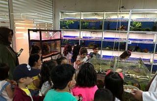 Öğrenciler balık müzesini gezdi