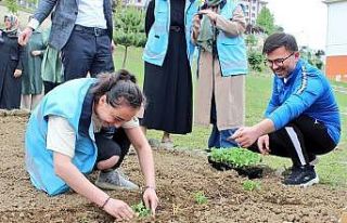 Öğrenciler sebze fidanı dikti