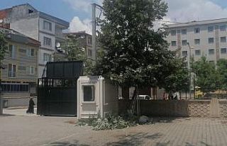 Okulun bahçesindeki ıhlamur ağacından düştü