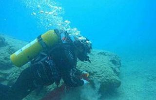 Ölüdeniz’de su altı ve koy temizliği yapıldı