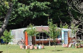 Önce çay istedi, sonra mesire yeri işletmecisini...