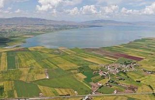 Önceden çölü andıran baraj sahası suyla doldu